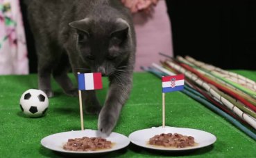 Пухкаво предсказание: Франция е световен шампион!