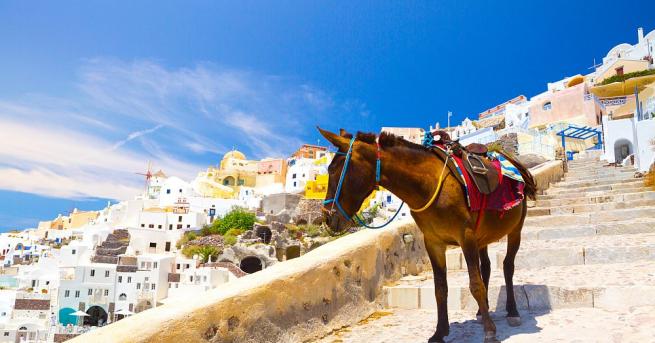 Гръцкото министерство на селското стопанство съобщи че е издало забрана туристи