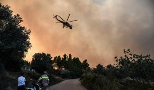 Пожарът на гръцкия остров Евбея е овладян