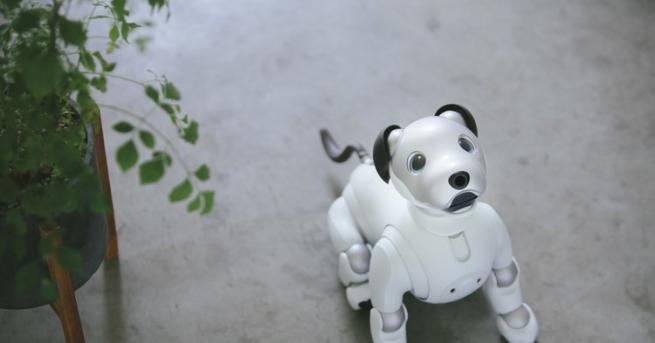 Sony представи новото шесто поколение на своето куче робот Aibo което