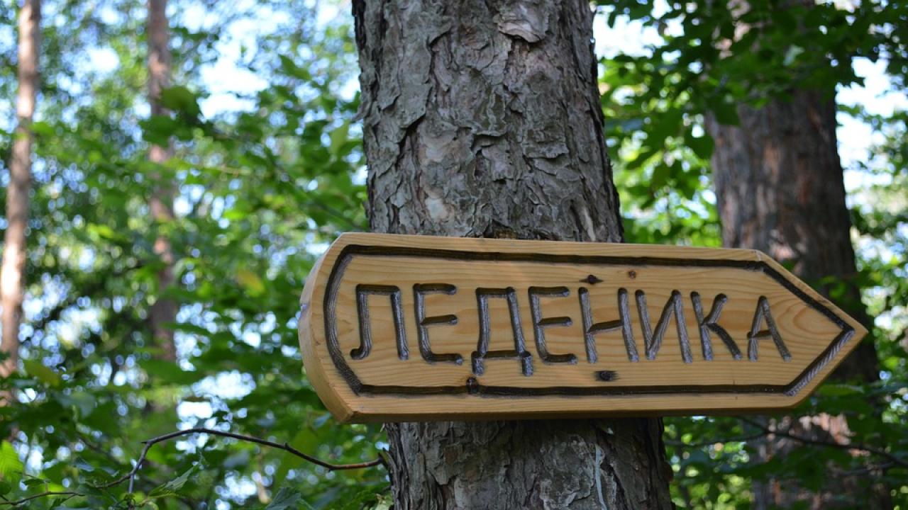 Снимка: pixabay