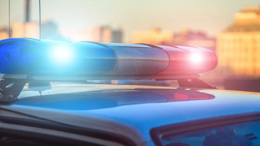  <p>Намериха човешки остатъци в Горна Оряховица</p> 