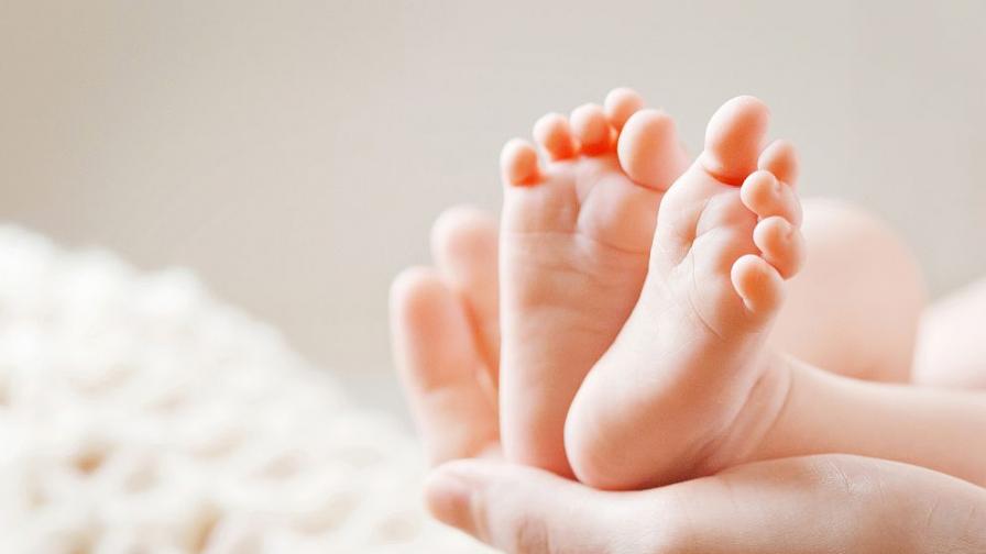 <p>Изоставиха две новородени бебенца в Пловдив</p>