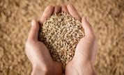 ООН: Над половин милион тона зърно вече са изнесени от Украйна