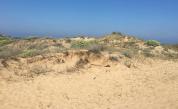  Има ли разорани дюни в Ахтопол 
