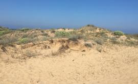  <p>Забраниха палатките и чадърите върху дюните</p> 