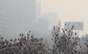  <p>Замърсяването на въздуха &ndash; какво вършат съседите</p> 