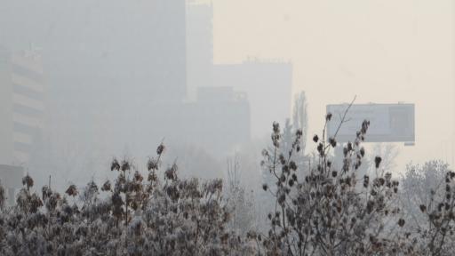  <p>Замърсяването на въздуха &ndash; какво вършат съседите</p> 