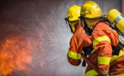  Над 4 хиляди дка са наранени от пожарите в Хасковско 