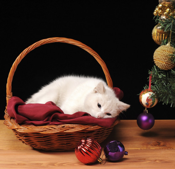 Сладки, коледни животни - снимка 15