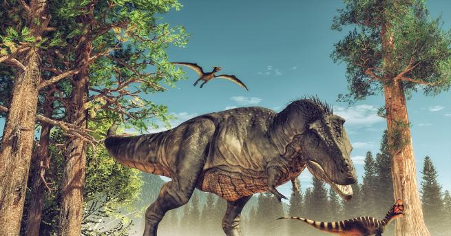 Любопитно Най-странните динозаври, откривани някога Запознайте се с едни от