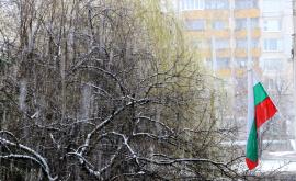  Валя сняг, идва мраз след няколко дни 