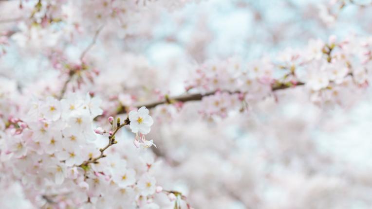 Дневен хороскоп за сряда, 15 април