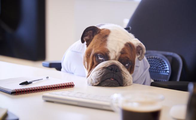 Когато не издържате вече в офиса. Ето откъде може да работите