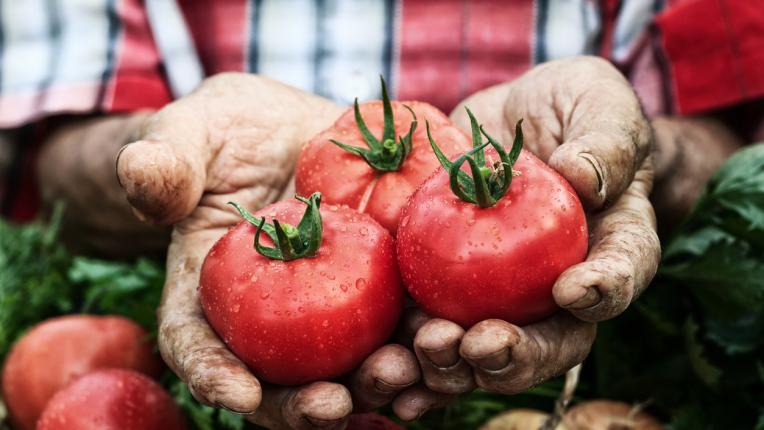  Експресната диета с домати, която топи килограмите за дни 