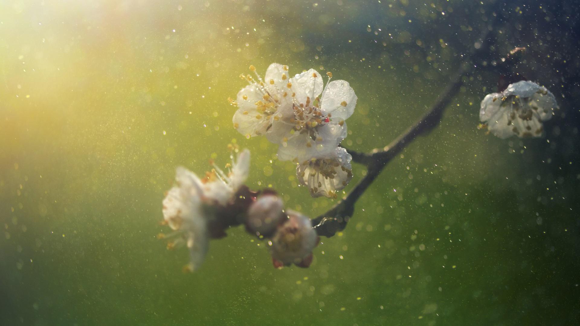 През нощта и в петък ще преобладава облачно време През