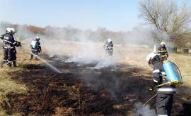  Снимка: Архив 