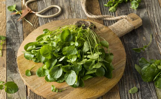  Как да готвим вкусно със зелении 