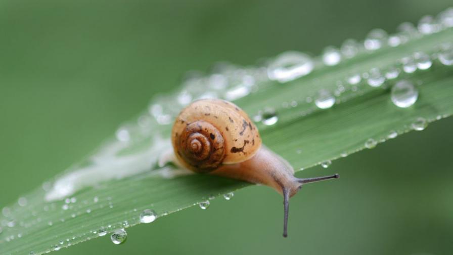  Дъжд и гръмотевици за Великден, жълт код за 14 области 