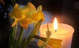  <p><strong>На днешния ден</strong> би трябвало да почистим домовете си...</p> 