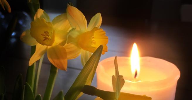 Любопитно На днешния ден трябва да почистим домовете си Днес