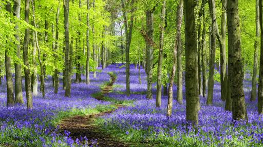  <p>Прах от Сахара и по-малко горещо в събота</p> 