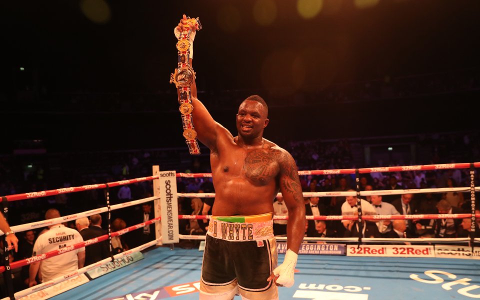 Едно от големите имена в тежка категория Дилиан Уайт се