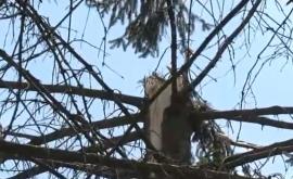  Какви са вредите след бурята, торнадо удря тази част на страната 