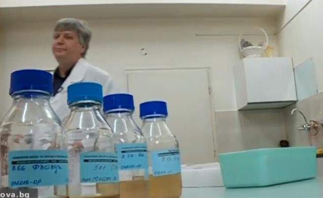 Увеличават се хранителните алергени, полените на тези дървета могат да отключат сенната хрема