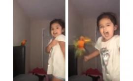  Малко момиче тренира птицата си да нападна който й каже 