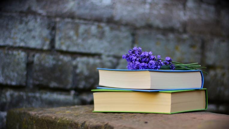  15 аргументи за какво връзка с четящо момиче ще усъвършенства същински живота ти 