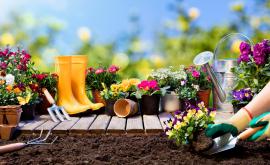  Кажи ми каква градина искаш, да ти кажа по какъв начин да си я направиш 