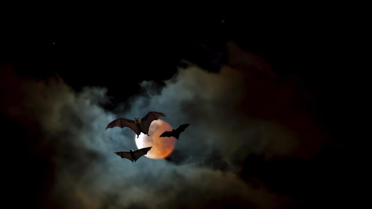  Лудите теории за английските монарси 