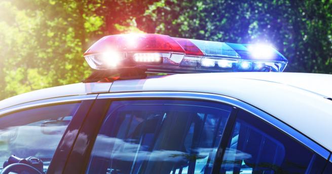 България Собственик на кравеферма прегази крадец в Болярино Инцидентът е