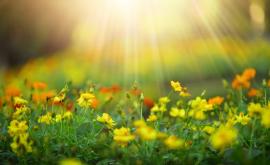  <p>Днес полска работа не се прави, <strong>имен ден празнуват</strong>...</p> 