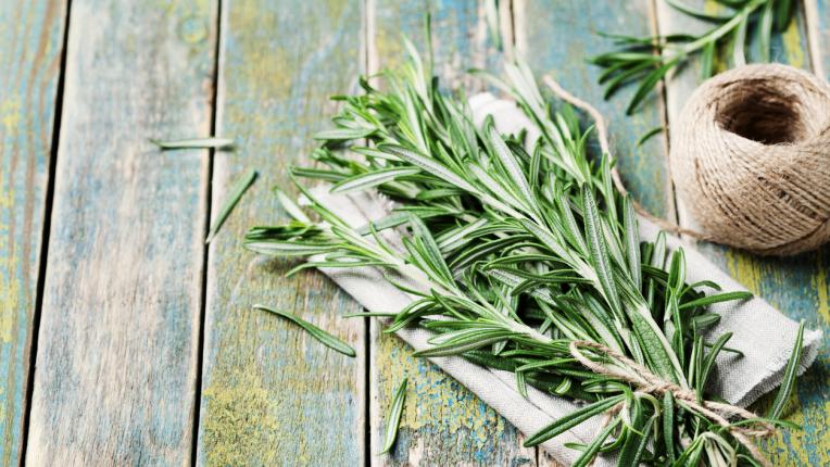  Растенията, които ще ви оказват помощ да се отървете от досадните комари 