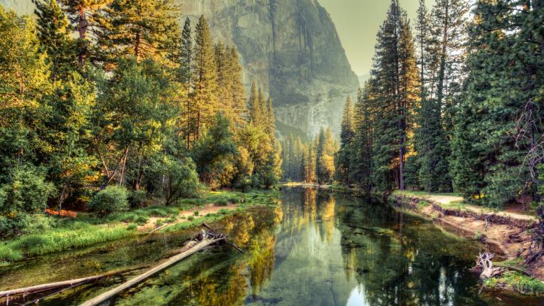  Мъдрите мисли на Петър Дънов 