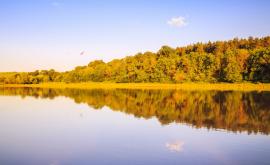  <p>15-годишно дете се удави в река Огоста</p> 