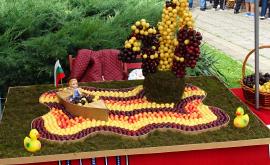  <p>В Кюстендил означават <strong>Празника на черешата</strong></p> 