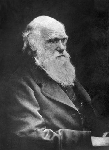  Чарлз Дарвин <br> Английският академик е обожавал да опитва с усетите на разнообразни екзотични животни. Дарвин обичал да хапва месо от броненосец. По думите му, усетът на животното е сходен на този на патицата. Той също обичал да яде месо от дива котка, като е казвал, че това е най-хубавата храна, която в миналото е опитвал. 