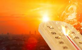  <p>Гореща вълна залива половин Европа</p> 