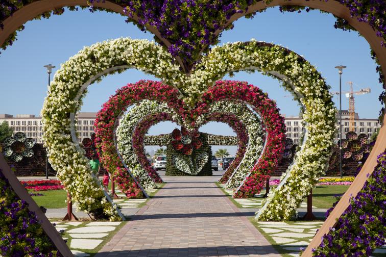  Градина на чудесата - Дубай, ОАЕ 
