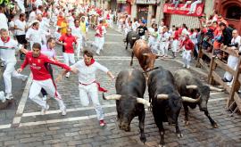  <p><strong>Санферминес</strong> &ndash; когато жаждата за адреналин заличава <strong>риска от смъртта</strong></p> 