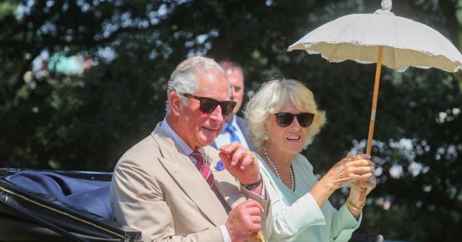 Любопитно Принц Чарлз е получил интересно предложение Принц Чарлз може