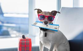  <p><strong>Най-добрият ден</strong> за запазване на полети</p> 