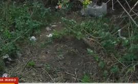  Откриха десетки епруветки с кръв, изхвърлени край Девня 