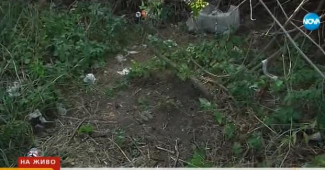 България Откриха десетки епруветки с кръв, изхвърлени край Девня РИОСВ-Варна