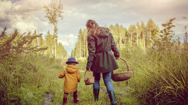  12 бабини съвета, които оказват помощ цялостен живот 