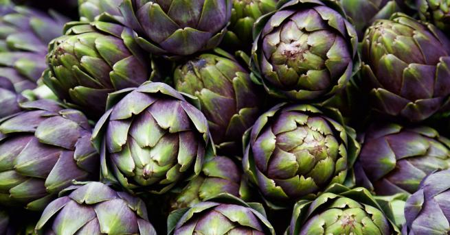 Често считан за зеленчук артишокът представлява вид бодил който произхожда