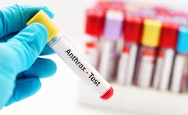  Случай на антракс в Северна Македония 